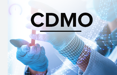 Pharmaceutical outsourcing specialist reviewing CDMO vendor options