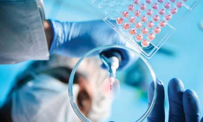 CMC Challenges in Cell & Gene Therapy Development