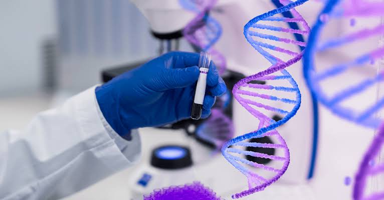 Regulatory Strategy from IND to BLA Approval