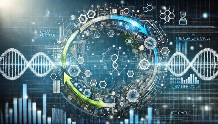 Computer system validation consulting