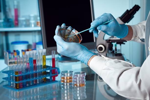 Life Sciences Consulting