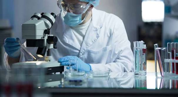 Pharmaceutical Development